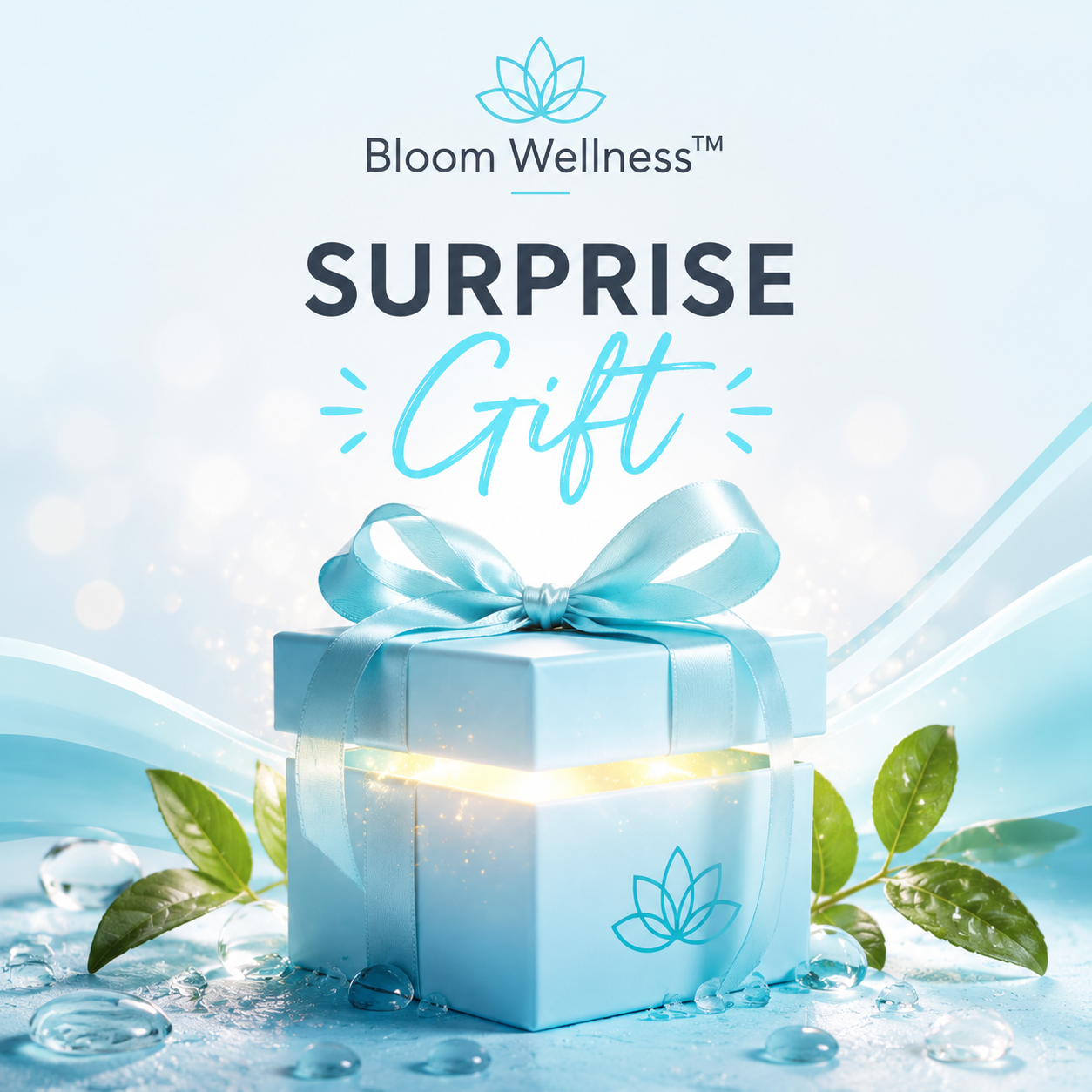 Mystery Wellness Gift